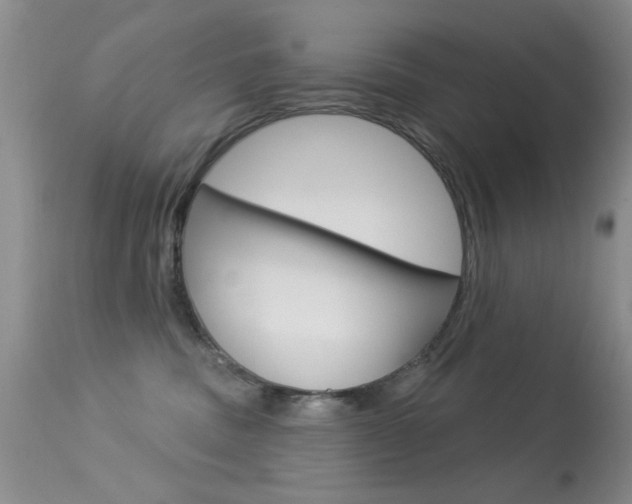X0000113630379200909181310
