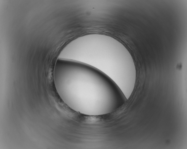X0000113630380200909181310
