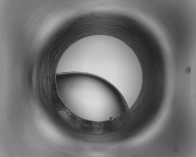 X0000113630382200909181311
