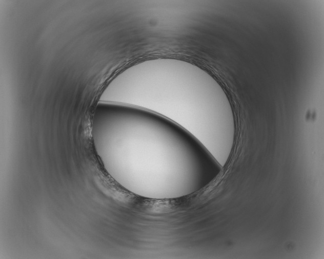 X0000113630384200909181311
