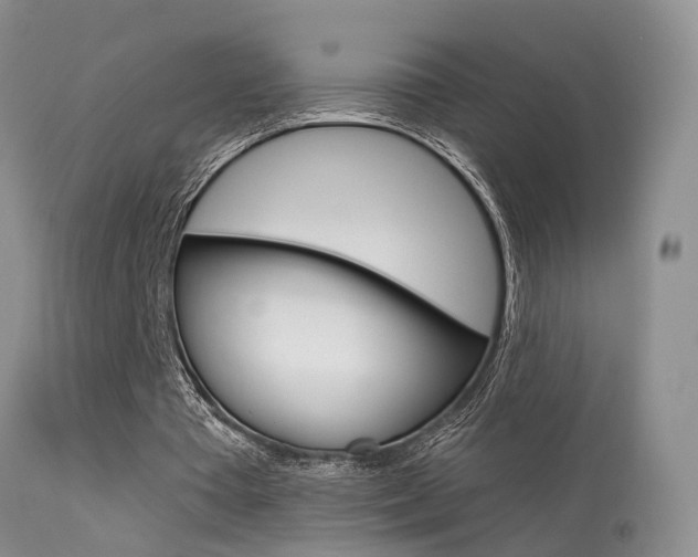 X0000113630385200909181310