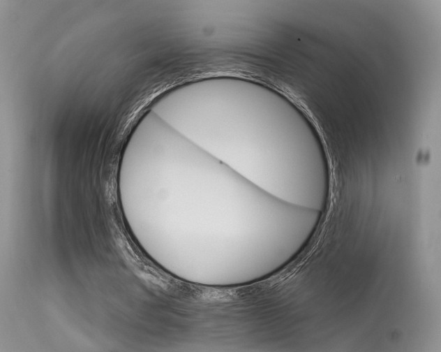 X0000113630386200909181310