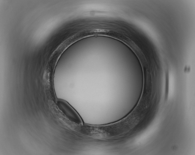 X0000113630387200909181310
