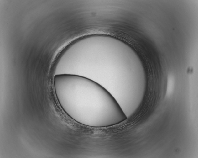 X0000113630388200909181310