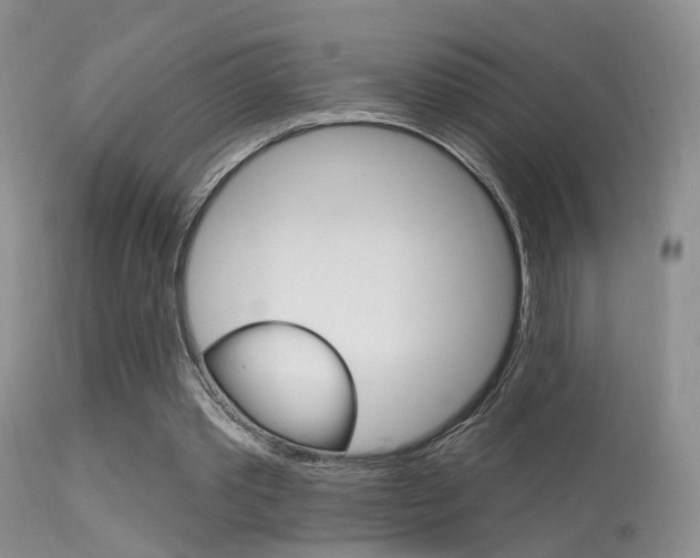 X0000113630389200909181310