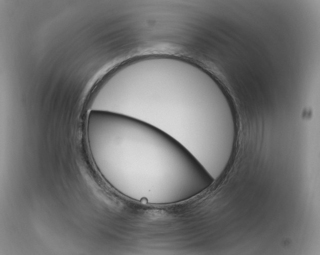 X0000113630392200909181310