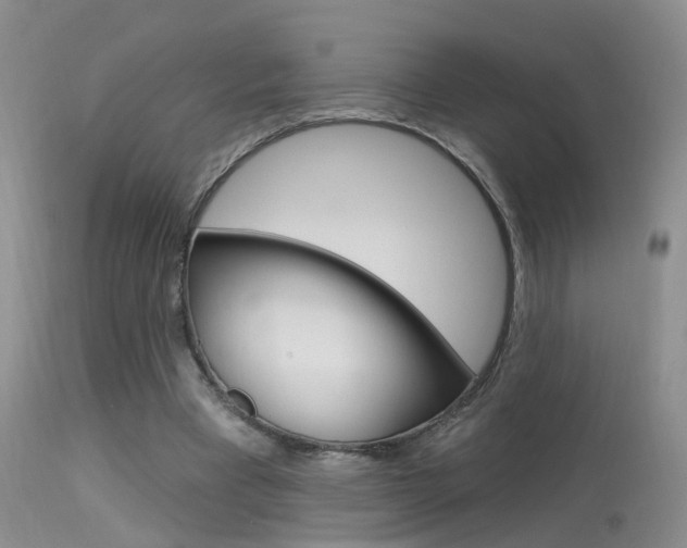 X0000113630393200909181310