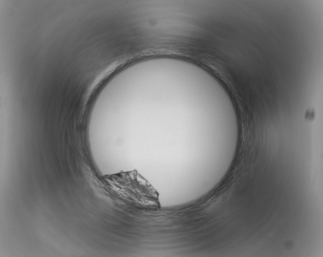 X0000113630395200909181310