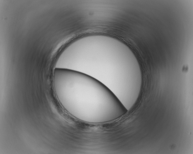 X0000113630396200909181310