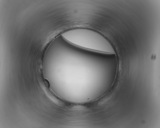 X0000113630397200909181310
