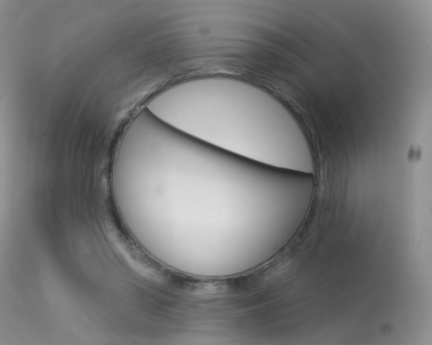 X0000113630398200909181310