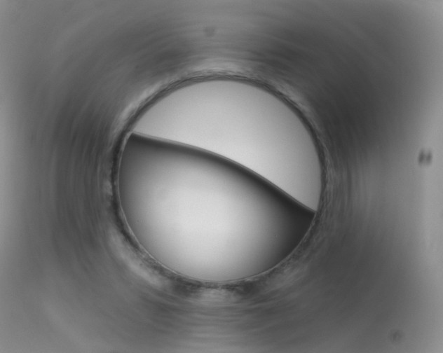 X0000113630399200909181310
