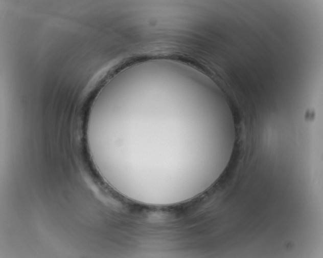 X0000113630400200909181310