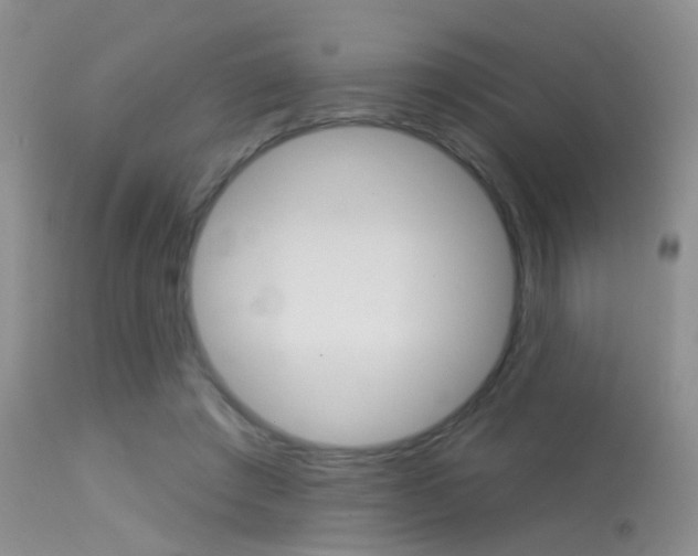 X0000113630401200909181310