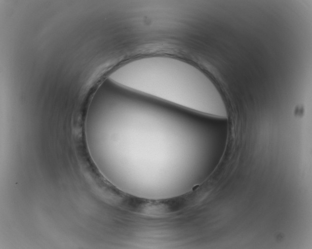 X0000113630403200909181310