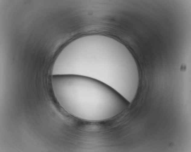 X0000113630404200909181310