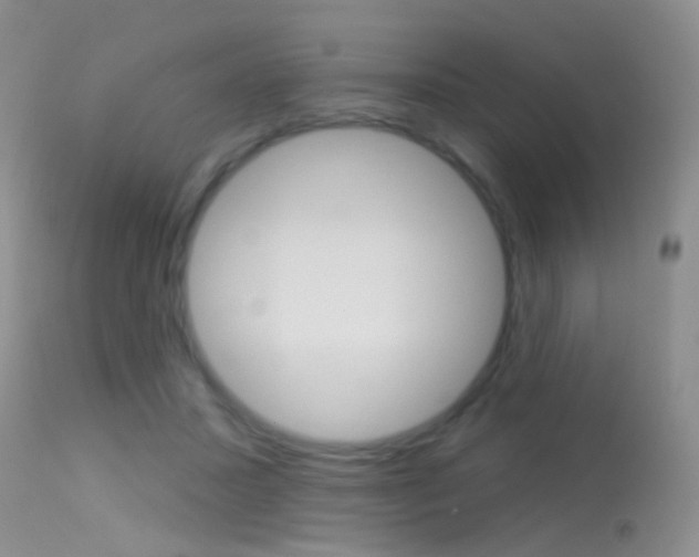 X0000113630407200909181310