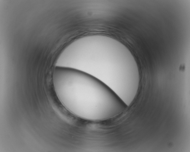 X0000113630408200909181310