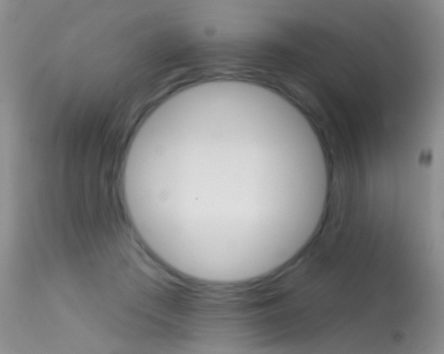 X0000113630409200909181310
