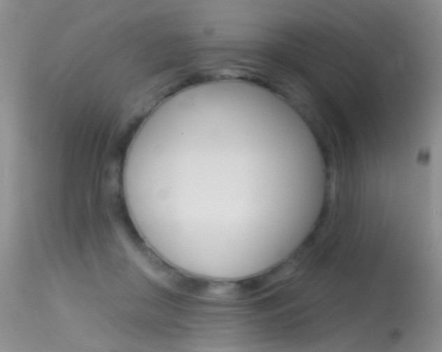 X0000113630410200909181310