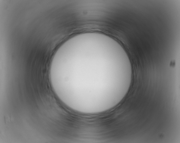 X0000113630411200909181310