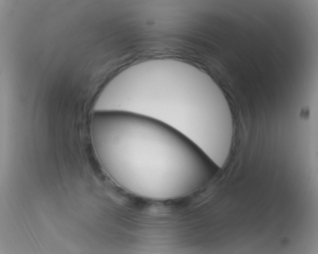 X0000113630416200909181309