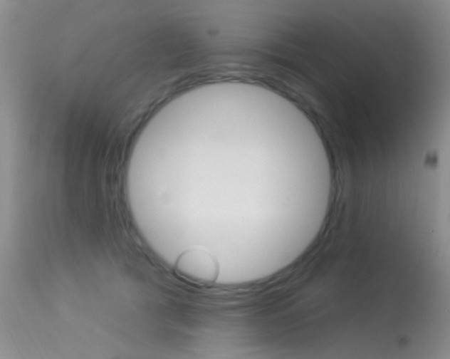 X0000113630417200909181309