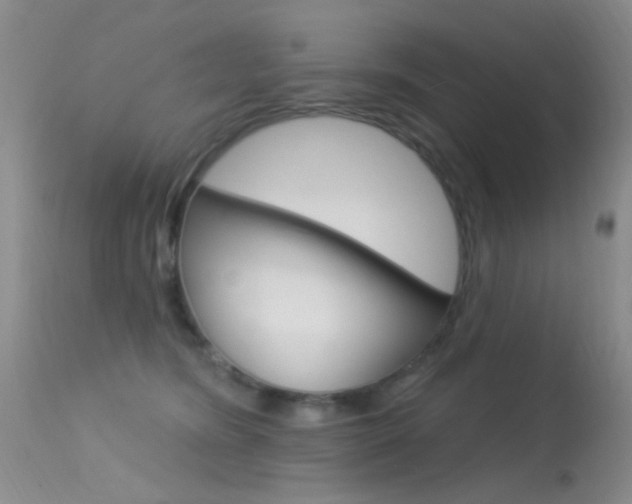 X0000113630420200909181309