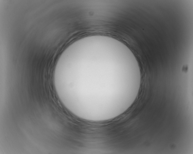 X0000113630421200909181309