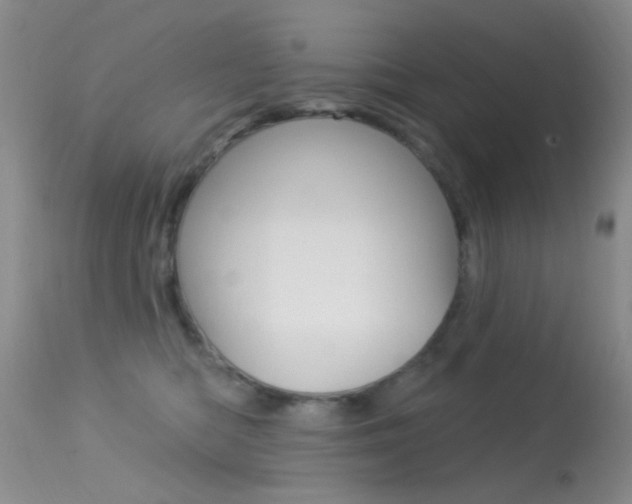 X0000113630422200909181309
