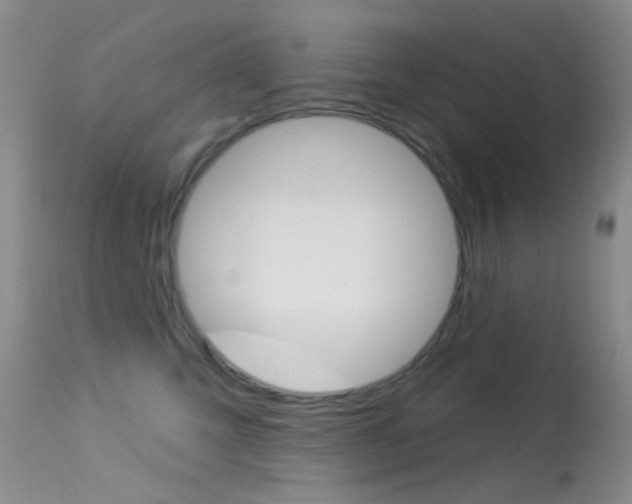 X0000113630423200909181309