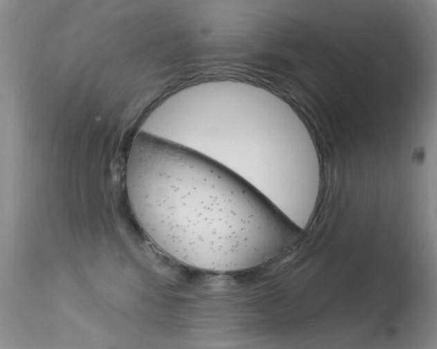 X0000113630424200909181309