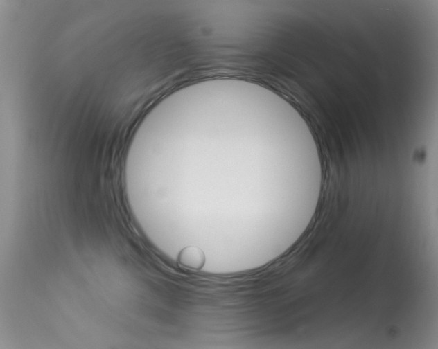 X0000113630425200909181309