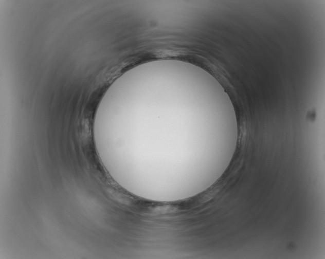 X0000113630426200909181309