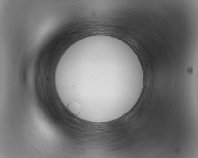 X0000113630429200909181309