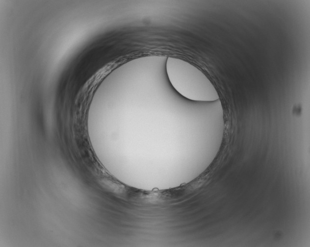X0000113630430200909181309