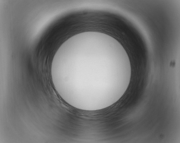 X0000113630431200909181309