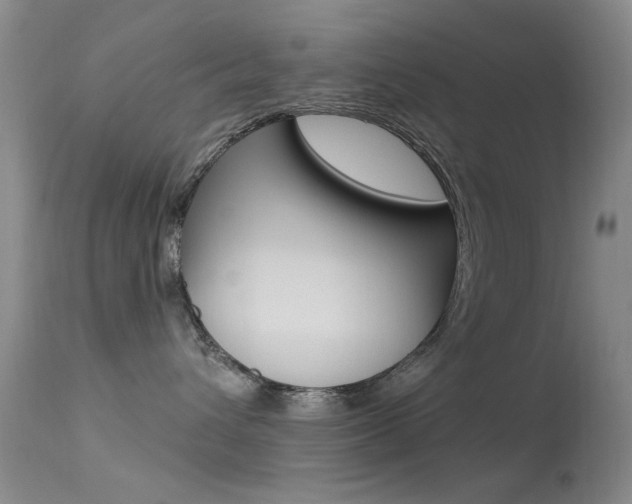 X0000113630432200909181309