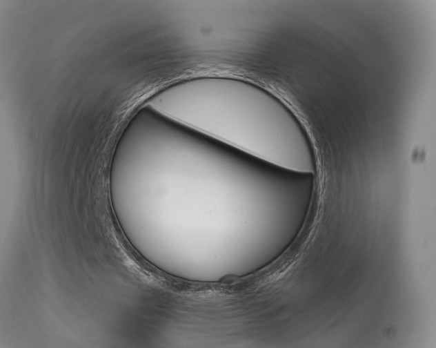 X0000113630433200909181309