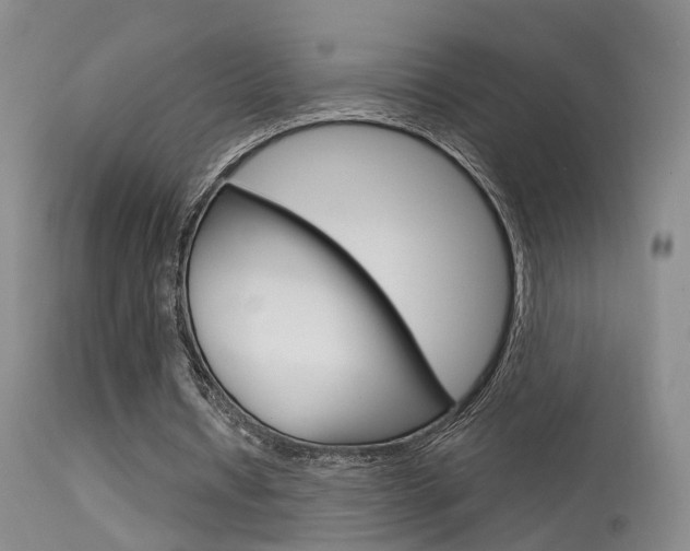 X0000113630434200909181309