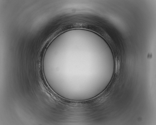 X0000113630435200909181309