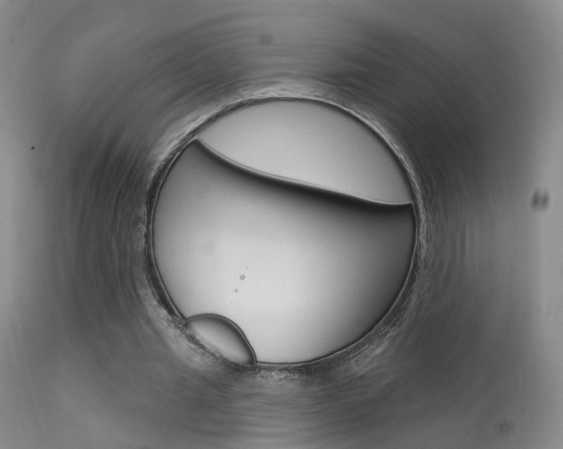 X0000113630437200909181309