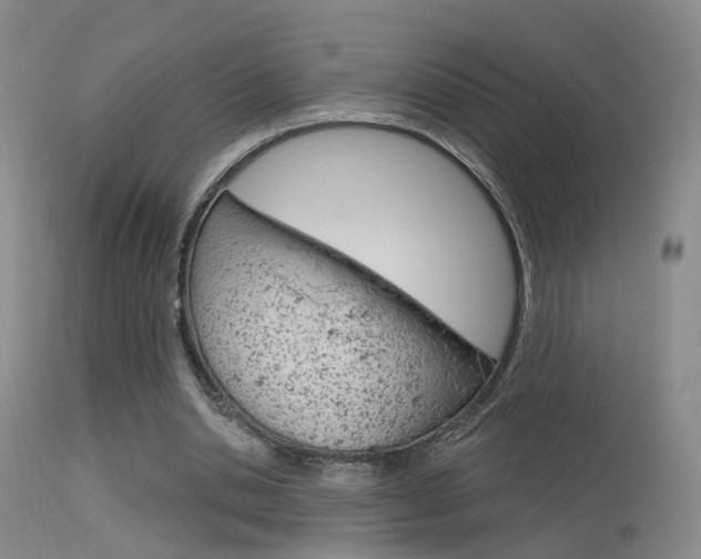 X0000113630438200909181309