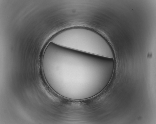 X0000113630439200909181309
