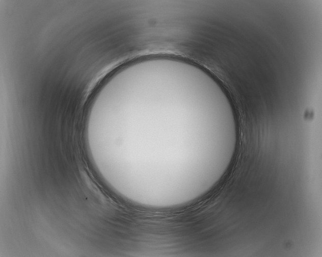 X0000113630440200909181309