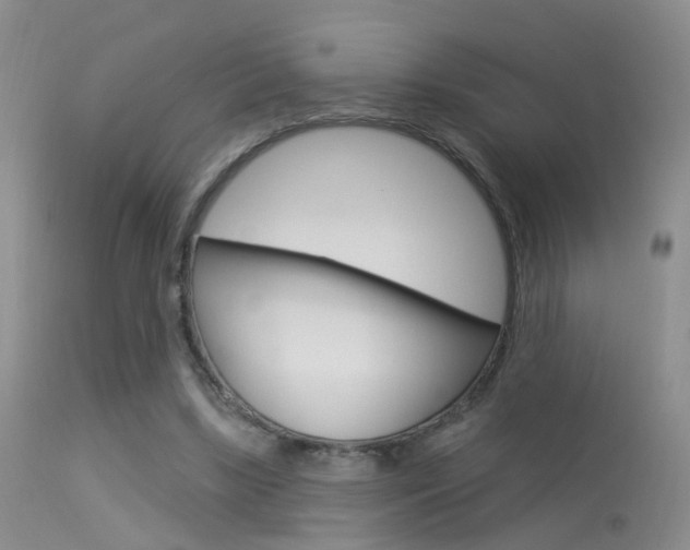 X0000113630443200909181309