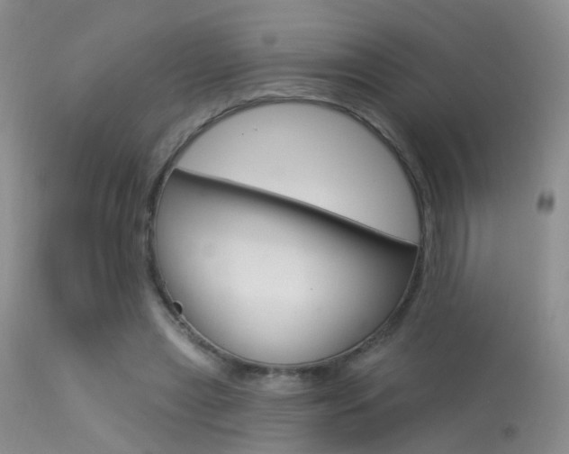 X0000113630445200909181309