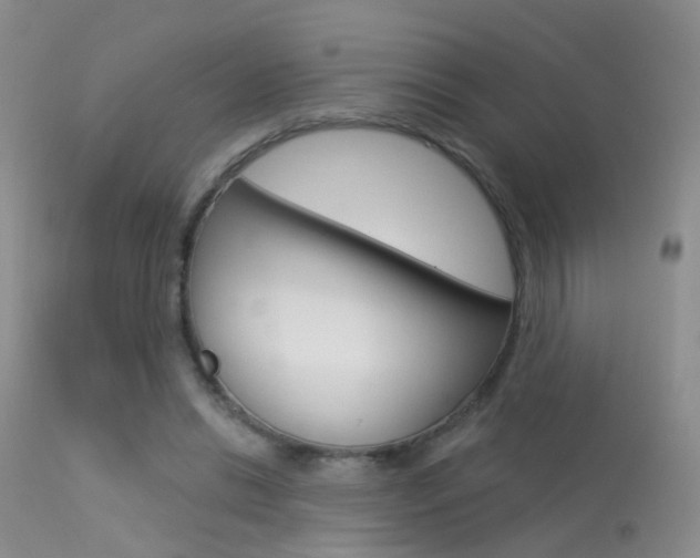 X0000113630446200909181309