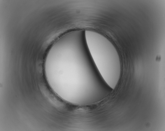 X0000113630447200909181309