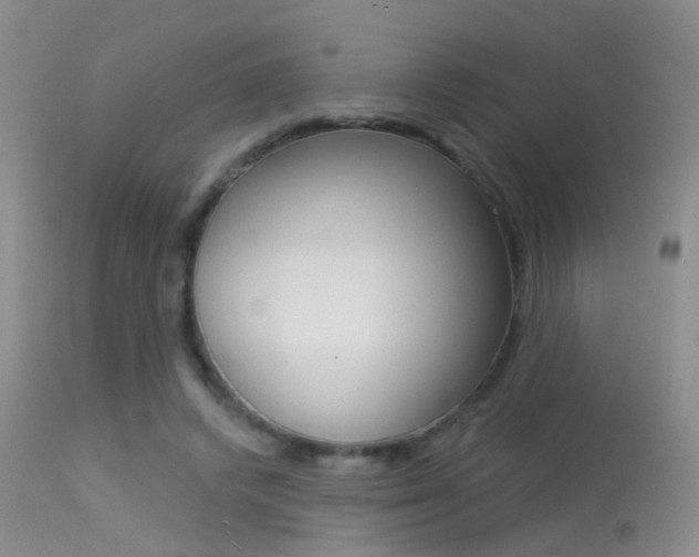X0000113630448200909181309